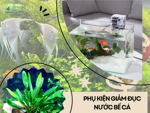 Những Loại Phụ Kiện Bể Cá Giúp Giảm Thiểu Độ Đục Của Nước