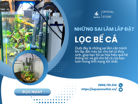 Những Sai Lầm Cần Tránh Khi Lắp Đặt Máy Lọc Cho Bể Cá Thủy Sinh