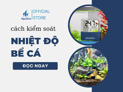 Cách Kiểm Soát Nhiệt Độ Trong Bể Cá Thủy Sinh