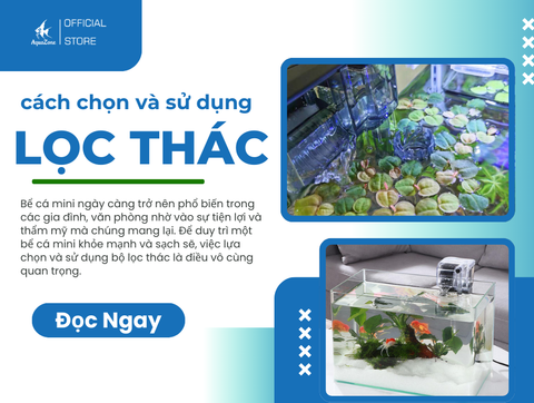 Cách Chọn Và Sử Dụng Bộ Lọc Thác Cho Bể Cá Mini
