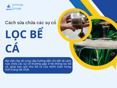 Cách Sửa Chữa Các Sự Cố Thường Gặp Ở Hệ Thống Lọc Bể Cá