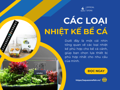 Các Loại Nhiệt Kế Phù Hợp Cho Bể Cá Cảnh