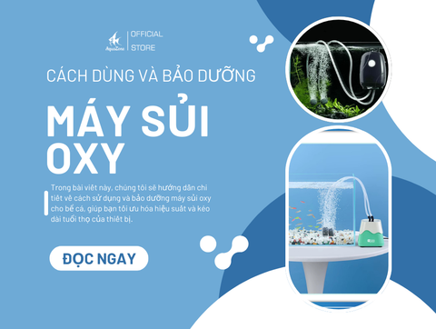 Hướng Dẫn Sử Dụng Và Bảo Dưỡng Máy Sủi Oxy Cho Bể Cá