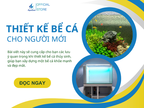 Các Lưu Ý Quan Trọng Khi Thiết Kế Bể Cá Cho Người Mới