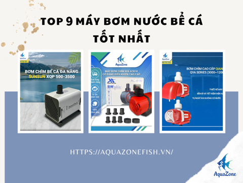 Top 9 Loại Máy Bơm Nước Hồ Cá Tốt Nhất Hiện Nay
