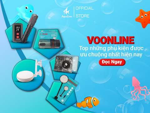 Top Những Phụ Kiện Bể Cá Thủy Sinh Voonline Được Ưa Chuộng Hiện Nay