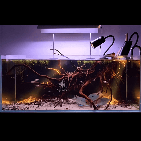 Thông tin sản phẩm Đèn Rọi Bể Cá WEEKAQUA NP10