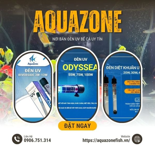 Aquazone địa chí bán đèn uv hồ cá
