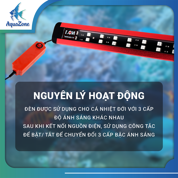 tiêu chí kĩ thuật đèn no1 n804