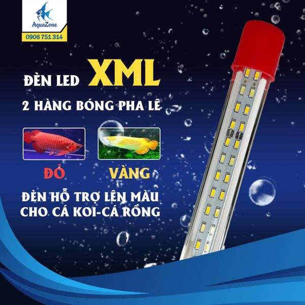 Đèn led cho cá rồng XML