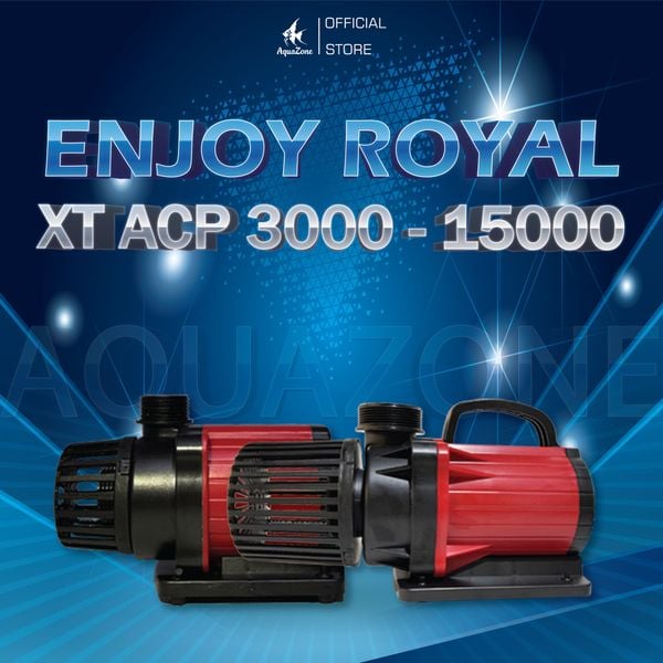 Bơm Enjoy Royal XT ACP 3000 - 40000