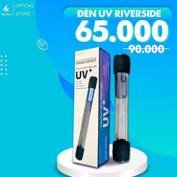 Đèn UV Riverside chuyên dụng cho bể cá