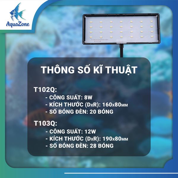 thông số kỹ thuật XML T01