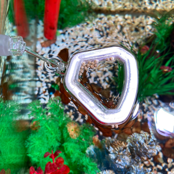 VÒNG CHO CÁ ĂN MARINE