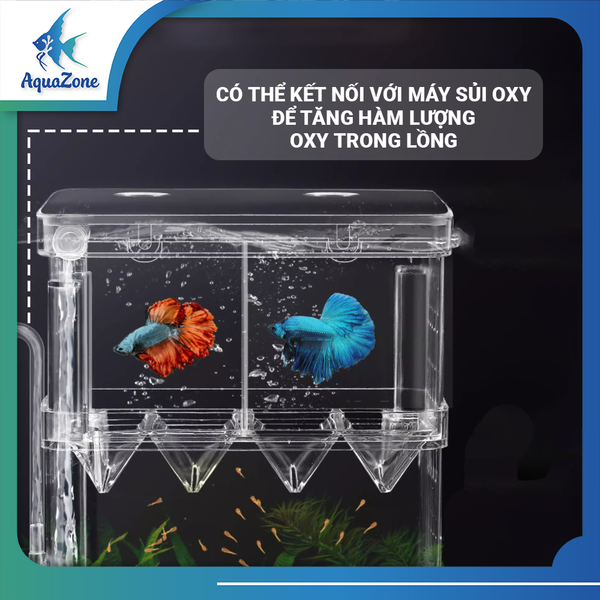 ưu điểm lồng đẻ cho cá Quanlong