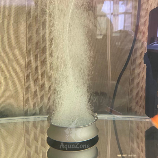 Đĩa sủi cherlam siêu mịn viền inox