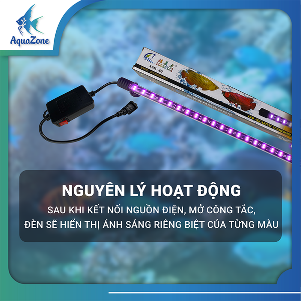 nguyên lý đèn tròn xml 2 hàng bóng