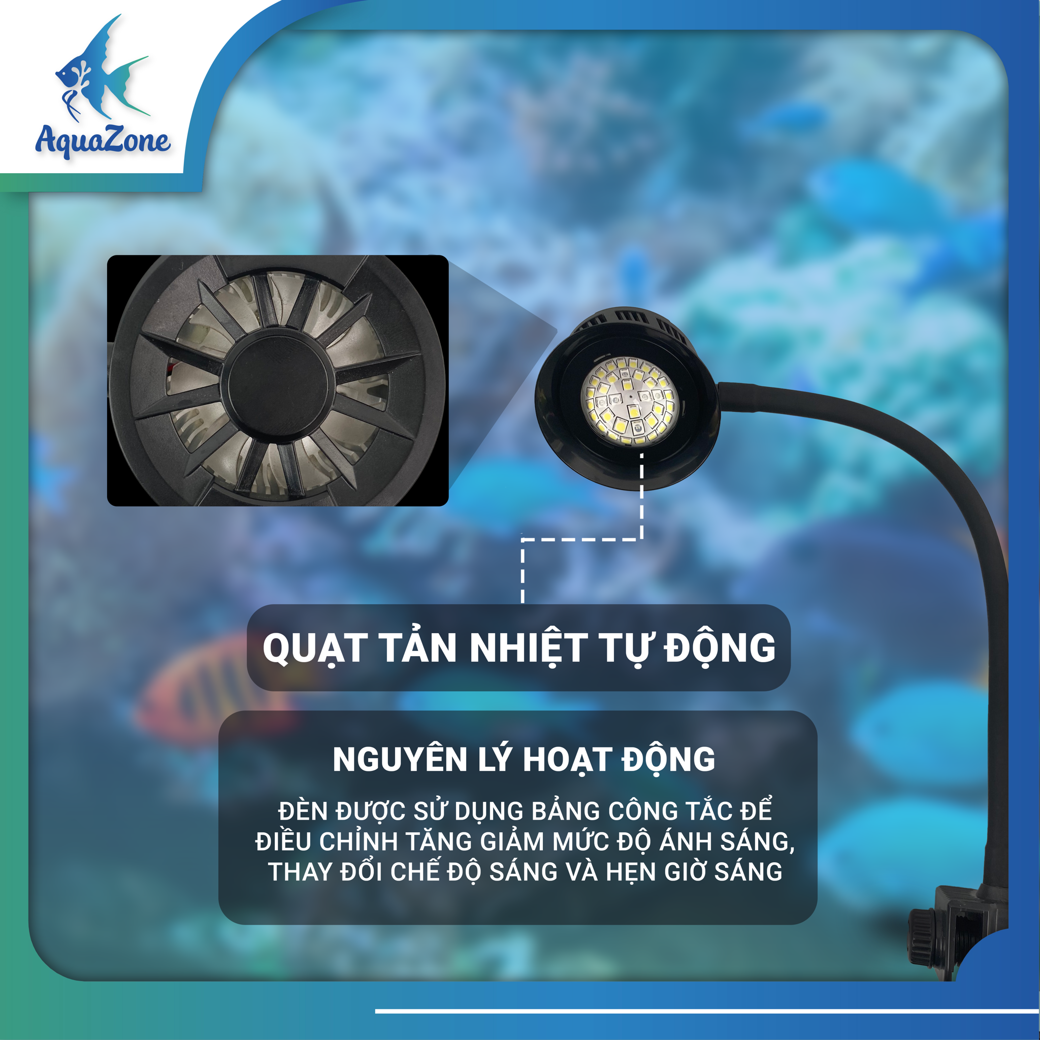 Tiêu chí đèn RHA F830