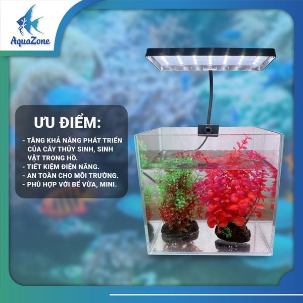 ưu điểm đèn led XML T01