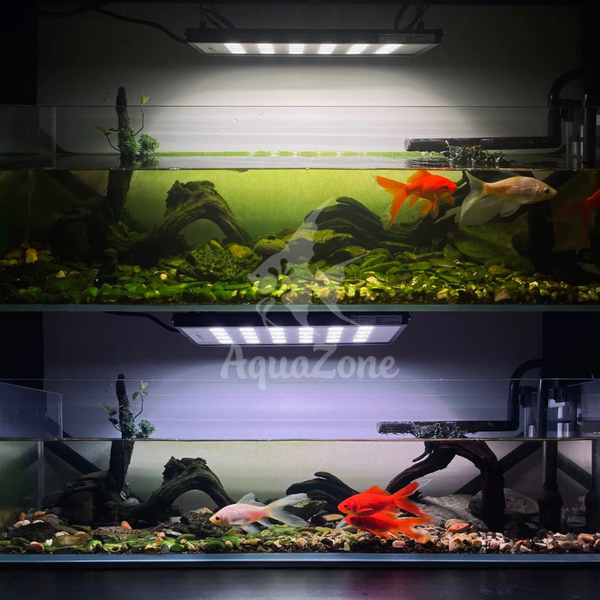 ưu điểm của đèn led netlea at5s