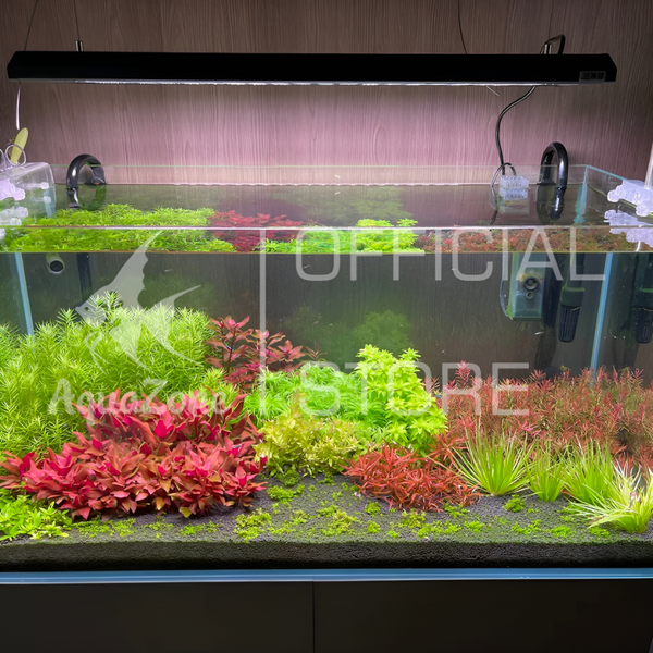 Đèn thủy sinh Netlea AT6PRO