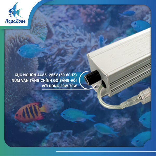 tiêu chỉ kỹ thuật đèn ledesk LD ion