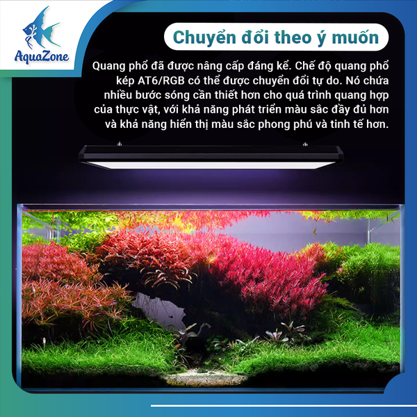 Đèn thủy sinh Netlea AT6PRO