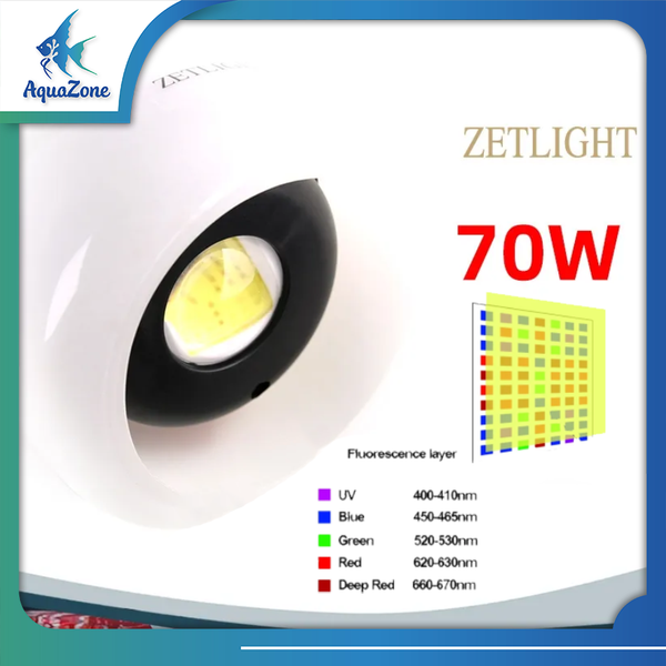 THÔNG SỐ KĨ THUẬT ZETLIGHT O2