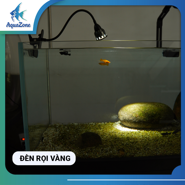 Đèn rọi Quanlong DL01 cho bể cá thủy sinh 7W màu vàng, trắng, chuyển đổi 3 màu