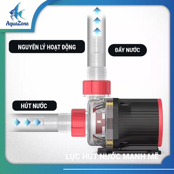 MÁY BƠM MBIO MAX HOẠT ĐỘNG