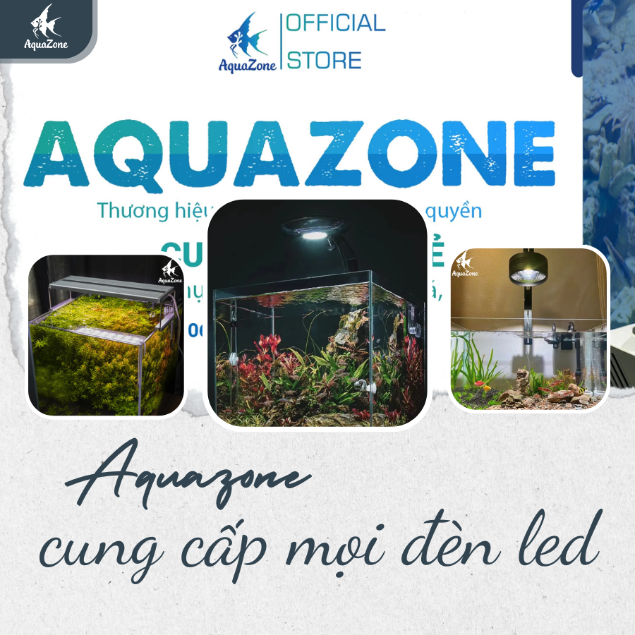 Aquazone cung cấp đèn led chiếu sáng hồ cá uy tín, chất lượng
