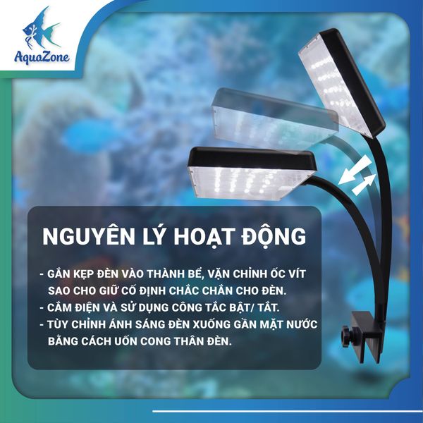 tiêu chuẩn kỹ thuật XML T01