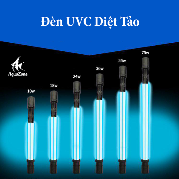 Đèn UVC diệt tảo