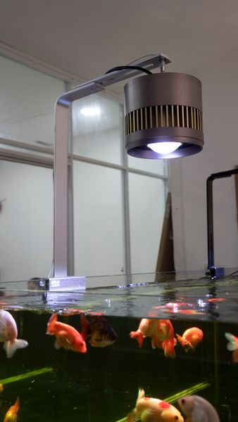 Chân treo đèn MBIO siêu cứng cáp, chắc chắn