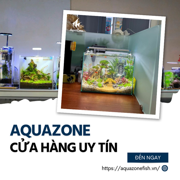 Aquazone cửa hàng bán đèn bể cá mini uy tín