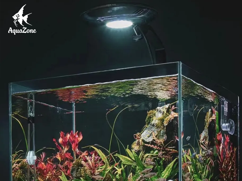 Zetlight UFO F8 PRO mang đến ánh sáng vô cùng tự nhiên cho bể cá