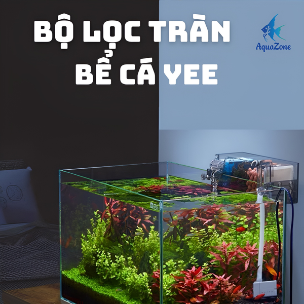 bỘ LỌC TRÀN BỂ CÁ YEE