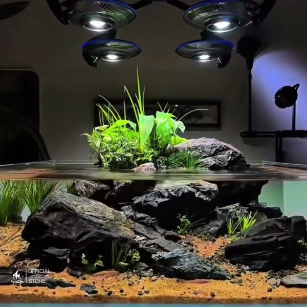 Đèn led phù hợp giúp thực vật phát triển