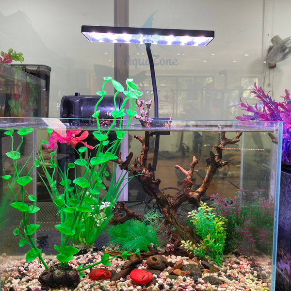 đèn thủy sinh nano FROK ánh sáng chân thực