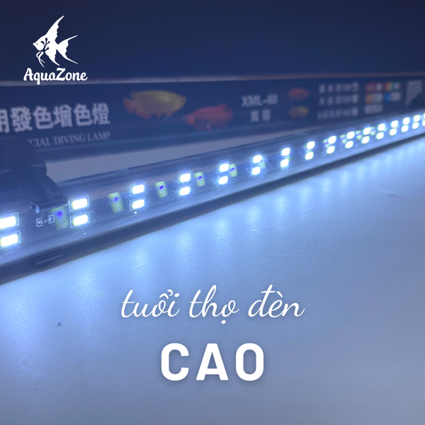 ưu điểm đèn tròn xml 2 hàng bóng