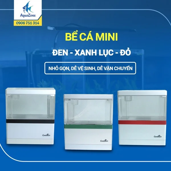 ảnh chi tiết bể cá mini