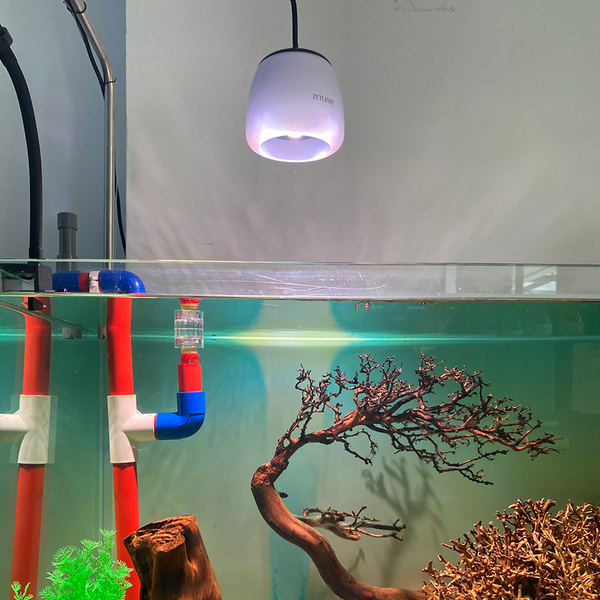 Đèn bể cá thủy sinh Zetlight O2