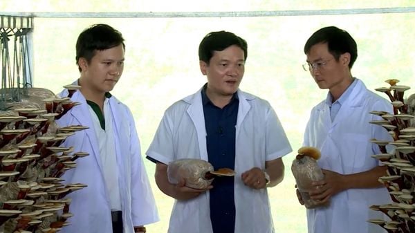 “Sống xanh” cùng Thành Đồng