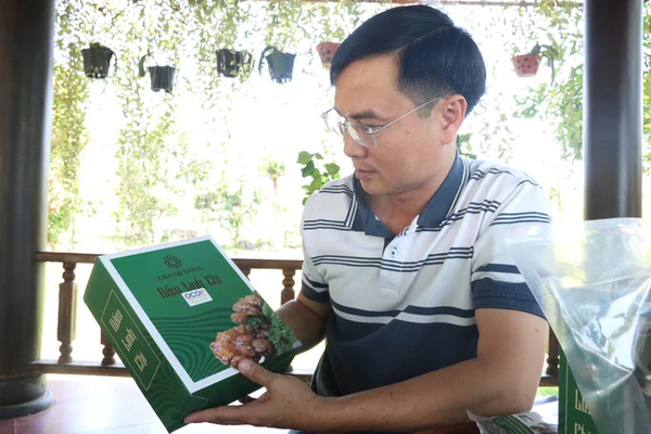 Trại nấm lớn nhất Tây Nguyên không bỏ đi thứ gì