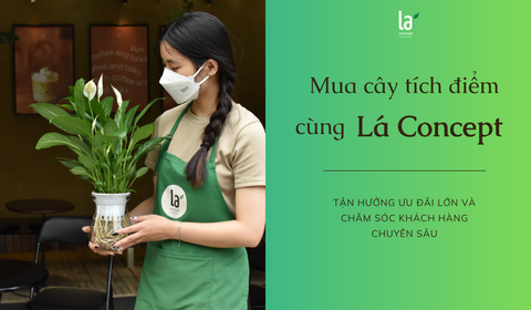 THÔNG BÁO HỆ THỐNG TÍCH ĐIỂM CỦA LÁ CONCEPT