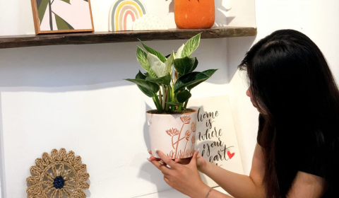 3 bí quyết chăm sóc cây mùa hè - có thể bạn đã biết?