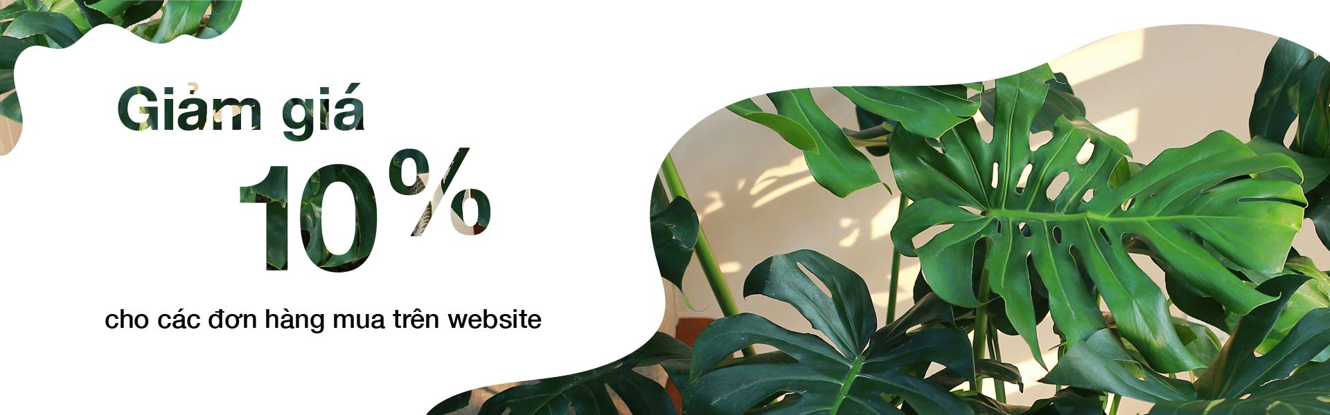 Sản phẩm nổi bật