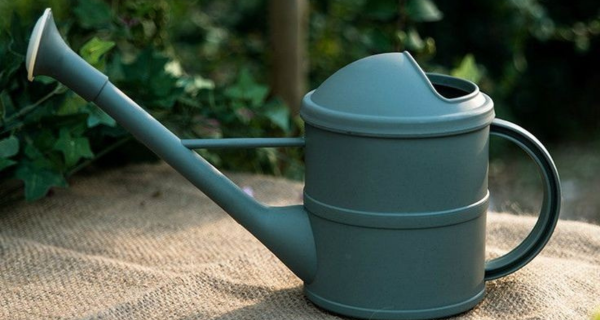 Phụ kiện trang trí