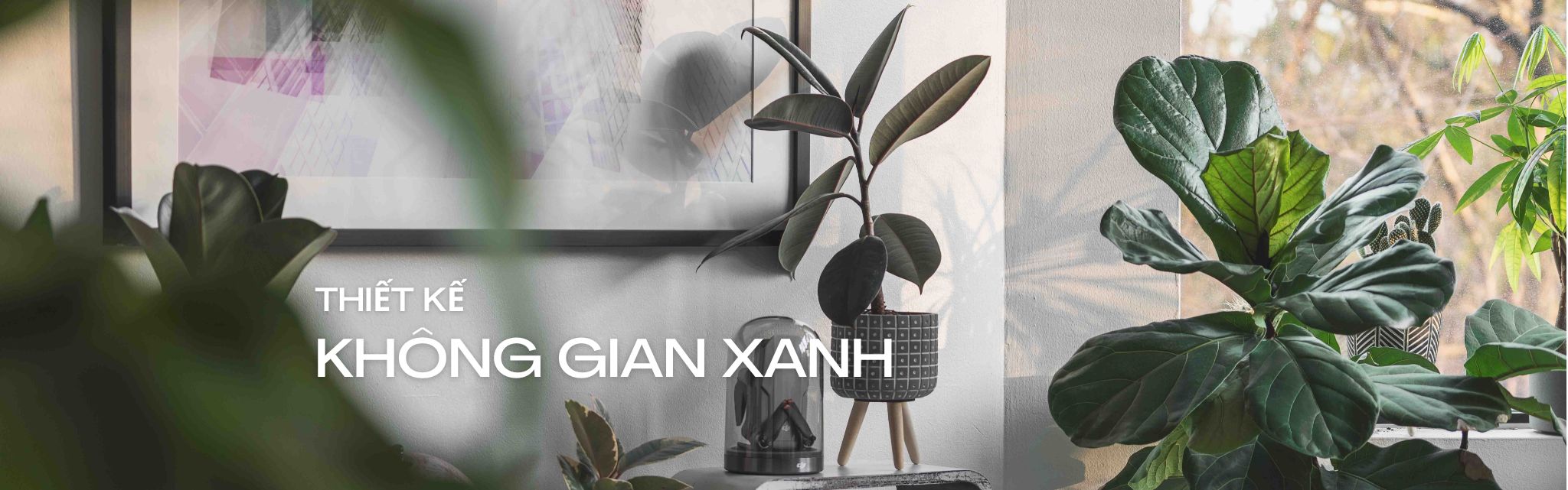 Sản phẩm nổi bật