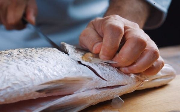 Tự học kỹ thuật phi lê cá chẽm nhanh gọn cùng Chef Hoshi Phan